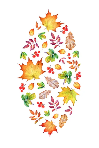 Dekoratív Összetétel Őszi Levelekkel Bogyókkal Fehér Alapon — Stock Fotó