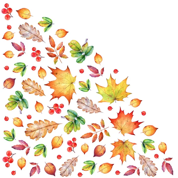 Decorative Corner Composition Autumn Leaves Berries White Background — 스톡 사진