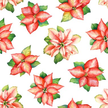 Watercolor seamless pattern with red poinsettia flowers with green leaves isolated on white background