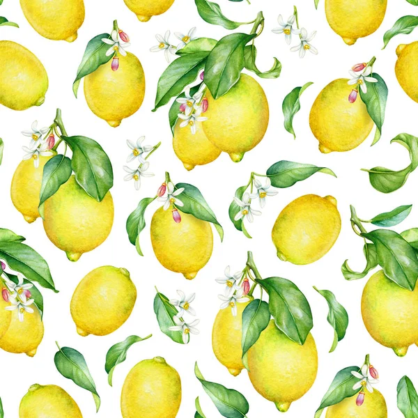 Nahtloses Muster Mit Aquarell Zitronenzweigen Mit Früchten Blättern Und Blüten — Stockfoto