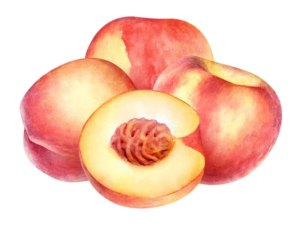 Akvarel Ilustrace Broskvného Ovoce Izolované Bílém Pozadí — Stock fotografie