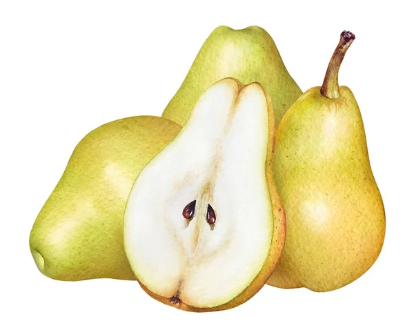 白色の背景に分離された水彩黄色の梨のグループ — ストック写真