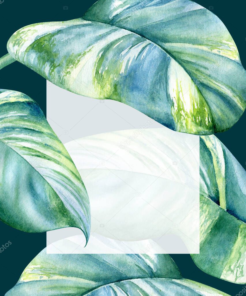 Watercolor floral design with striped leaves of tropical plants and a copy space for text. Frame, banner and card template.