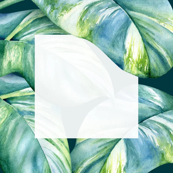 Watercolor Floral Design Striped Leaves Tropical Plants Copy Space Text — Stock Photo, Image