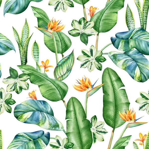 白い背景に水彩熱帯植物や花とシームレスなパターン — ストック写真