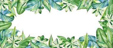 Beyaz arka planda izole edilmiş suluboya tropikal bitkilere sahip çiçek çerçevesi