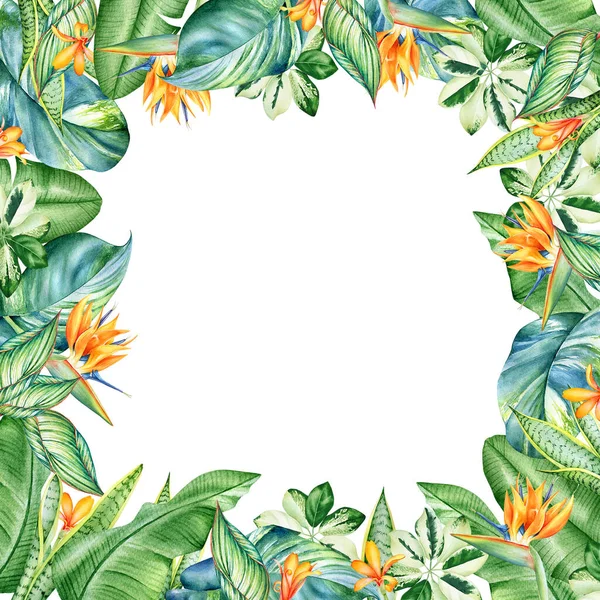 Cornice Floreale Con Acquerello Piante Tropicali Fiori Isolati Sfondo Bianco — Foto Stock