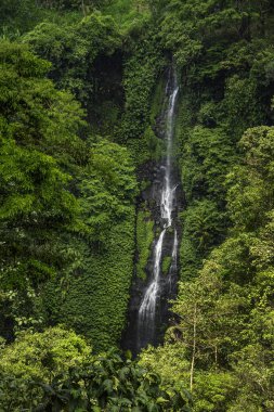 Secumpul şelaleler - şaşırtıcı turistik Bali Adası, Endonezya yerleştirin. Bali dağlarda gizli güzel şelaleler.