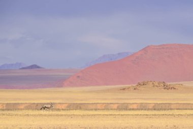 Yüksek kırmızı kum tepeleri Namib Çölü, Namibya, Afrika ile Sossusvlei tuz pan.