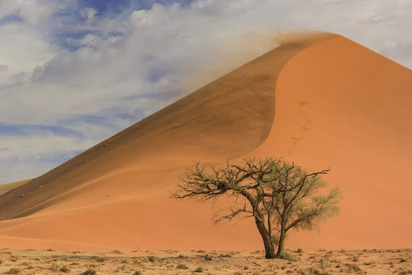 Sossusvlei Zout Pan Met Hoge Rode Zandduinen Namibwoestijn Namibië Afrika — Stockfoto