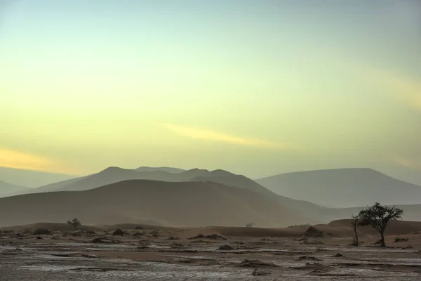 Sossusvlei Bandeja Sal Con Dunas Arena Roja Alta Desierto Namib — Foto de Stock