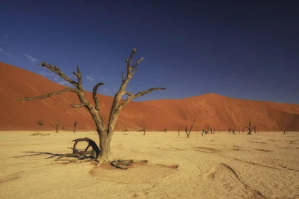 Σοσουσβλάι Salt Παν Υψηλή Κόκκινους Αμμόλοφους Στην Έρημο Namib Ναμίμπια — Φωτογραφία Αρχείου