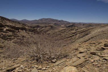 Walvis bay - inanılmaz kum tepeleri ile Namib çölün kuzey kesiminde, Namibya, Afrika.