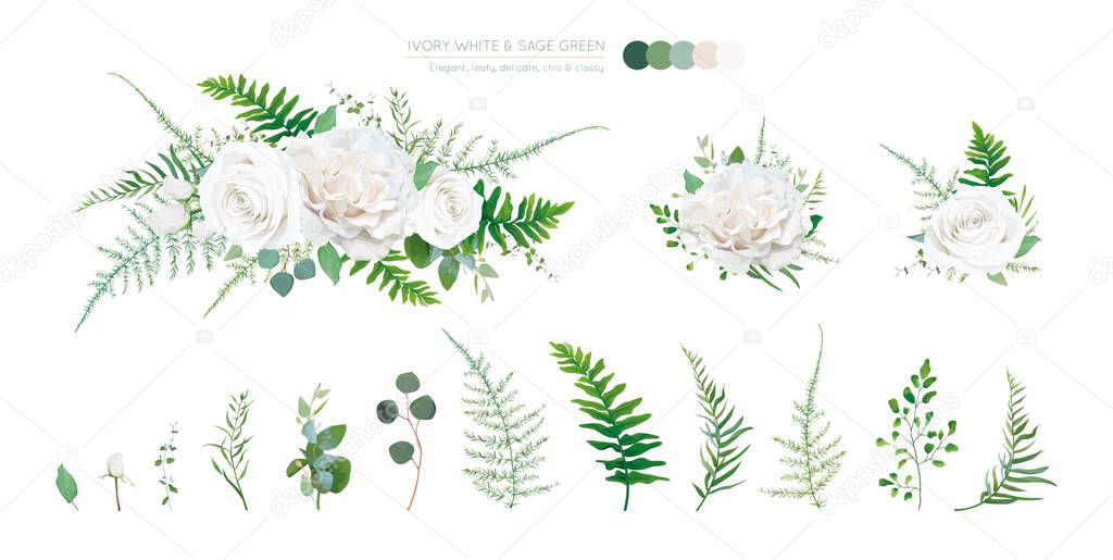 Elegant vector floral bouquet: Ivory white, creamy peony Rose flowers, silver sage Eucalyptus branches, greenery leaves, ferns, green asparagus. Wedding editable watercolor style designer elements set