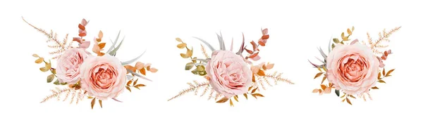 ベクトルフラワーブーケのデザイン ピンク 赤面桃のバラ 冬のトーンテープ 茶色のベージュクリーム秋ユーカリの枝 結婚式招待カード装飾エレガントな水彩要素セット — ストックベクタ