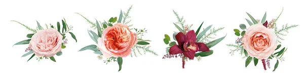 ベクトル花花束のデザイン 淡いサンゴジュリエットバラの花 ほこりっぽいピンク 桃のバラ バーガンディ赤蘭 アマランス ユーカリの枝の緑の葉 柔らかいシダ 結婚式のカード水彩要素セット — ストックベクタ
