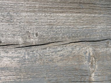 doku ağacı eski tahta