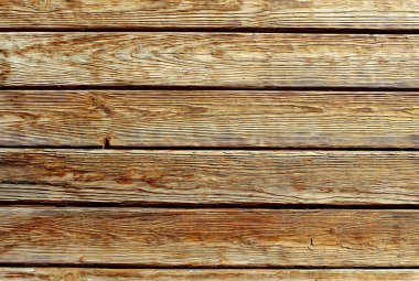 arka plan yapısı ağacı çam