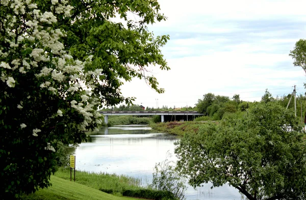 Ponte Stradale Natura Lontananza Attraverso Fiume — Foto Stock