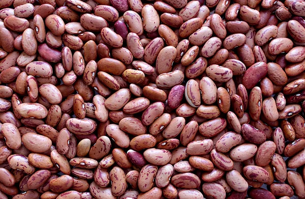 Textur Rote Bohnen Hülsenfrüchte — Stockfoto