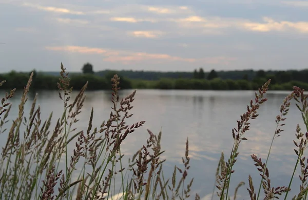 Alam Malam Oleh Danau Pada Hari Musim Panas — Stok Foto