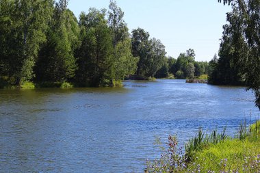 Rus doğa lake Forest'ta gün güneş güzel hava