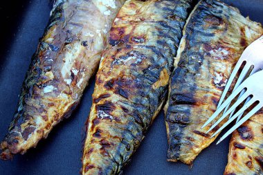 Açık havada kömürlerin üzerinde kızarmış balık uskumru