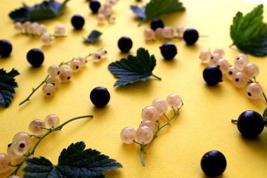 beyaz ve siyah frenk üzümü dokusuna bırakır