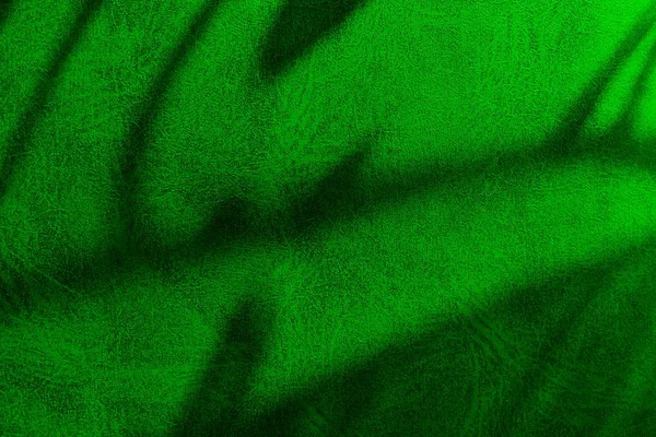 Textura Uma Cor Verde Suculenta Com Sombras Abstratas — Fotografia de Stock