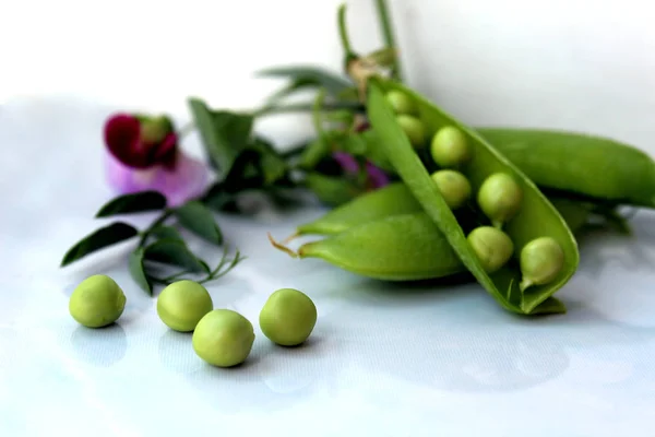 Fresh Crop Green Peas Flower — Stock Photo, Image