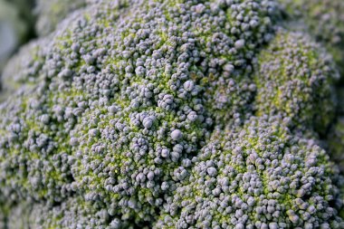 Vejetaryen gıda karnabahar ile lots-in vitamin