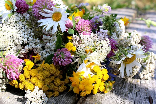 Blumenstrauß Der Wiese Heilpflanzen Der Blumen — Stockfoto