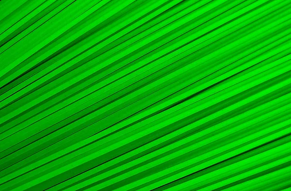 多くの縞模様のテクスチャは対角線上に緑 — ストック写真