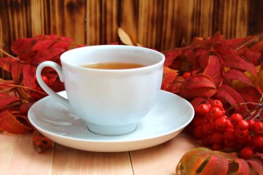 Sonbahar kırmızı rowan bir arka plan üzerinde çay