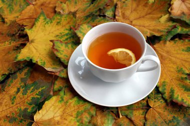 arka plan bir sürü sonbahar sararmış akçaağaç yaprakları ve bir fincan çay