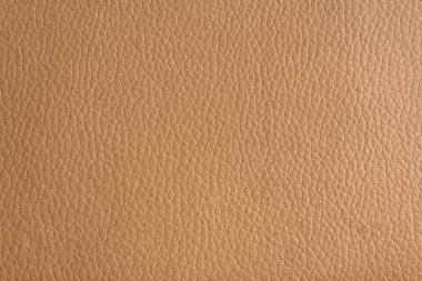 doku bej renk suni deri