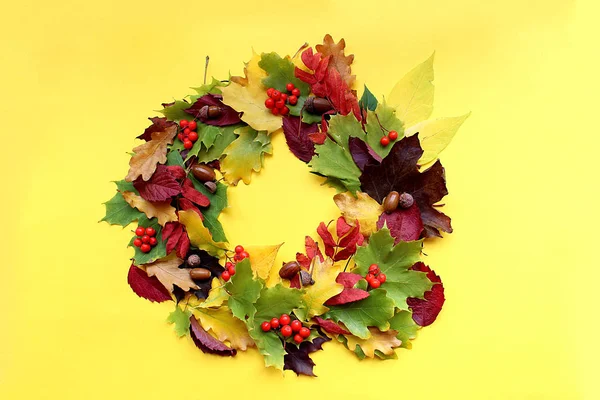 autumn leaves folded around on a yellow background with berries and acorn