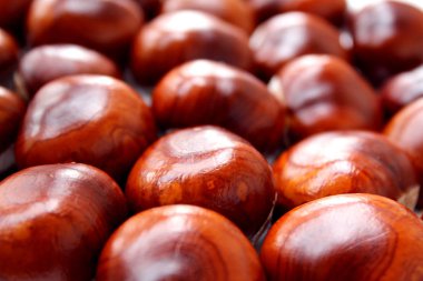 yığın fındık kestane kahverengi