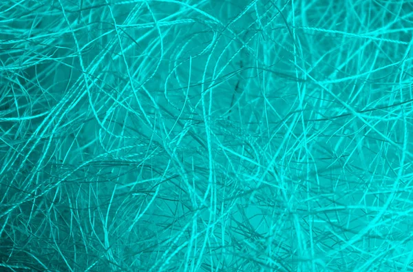 Texture green tangled threads like a spider web