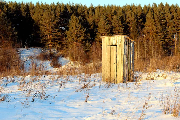 Servizi Igienici Legno Rustico Trova Mezzo Alla Foresta — Foto Stock