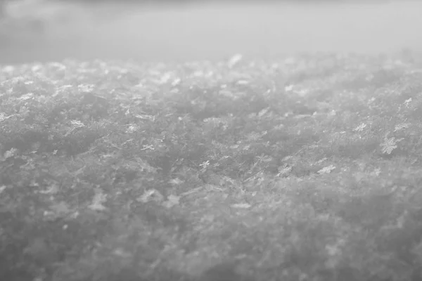 Fiocchi Neve Bianchi Girato Vicino Inverno Freddo — Foto Stock
