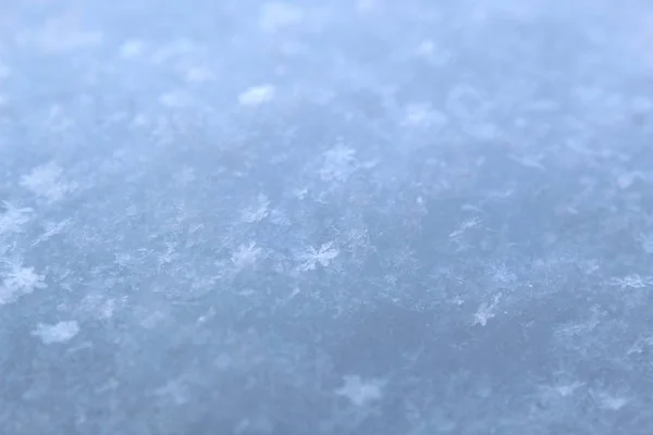 Fiocchi Neve Bianchi Girato Vicino Inverno Freddo — Foto Stock
