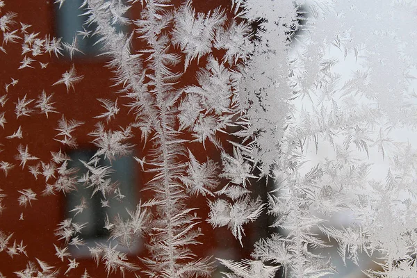 Gefrorene Schneeflocken Auf Dem Glas Kalten Winter — Stockfoto