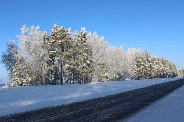 Autopista Invierno Día Soleado Frío — Foto de Stock