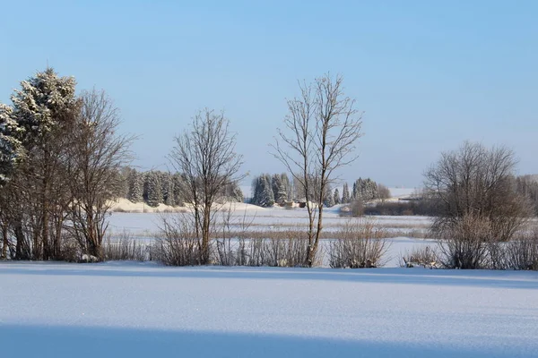 Winterlandschaft Einem Strahlend Sonnigen Frostigen Tag — Stockfoto