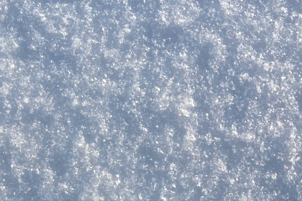 Texture white snow in sunny weather background