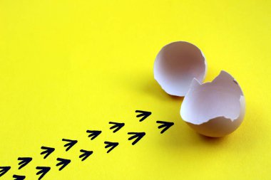 civciv yumurtadan ve kabukları ve işaretleri bırakarak yaptı 