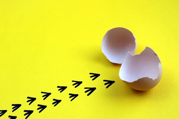 civciv yumurtadan ve kabukları ve işaretleri bırakarak yaptı 