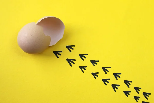 civciv yumurtadan ve kabukları ve işaretleri bırakarak yaptı 