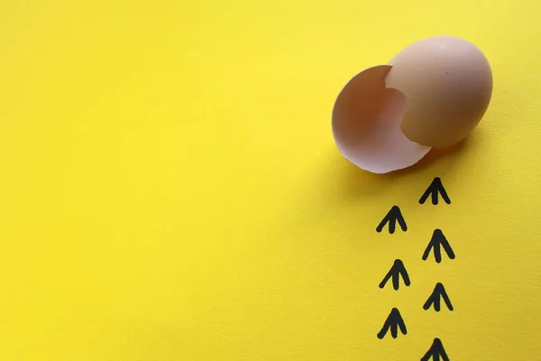 civciv yumurtadan ve kabukları ve işaretleri bırakarak yaptı 